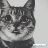 brendaarce chica soltera en Oyón