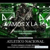 Foto de perfil de alemanlas
