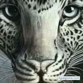 Chatear con juanmartinez3179 de Aroche