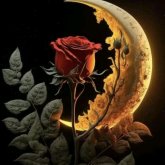 zamokjonhsons foto #10