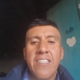 gentilnarvaes