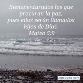 andresmambuca8000 chico soltero en Hialeah