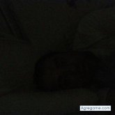 Foto de perfil de Marchnava