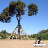 Busco pareja. Busco pareja. Buena