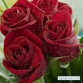 EdwinToledoBenavides foto #8