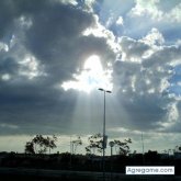 Tiglath chico soltero en Arcos De La Frontera