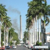 SANGREAZTEKA foto #175