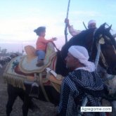 mardi chico soltero en Málaga