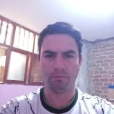 arieselias