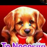 Chatear con Tesiii de Cuyuta Masagua