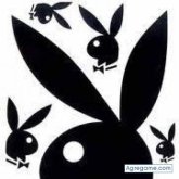 Chatear con josearturo2025 de Palenque