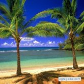 andresmambuca8000 foto #43