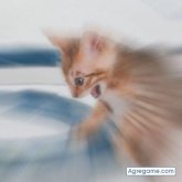 Seyfer chico soltero en Lo Ovalle