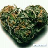 LokiLLa84 chica soltera en Lliria