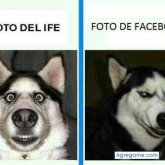 Foto de perfil de sesgh