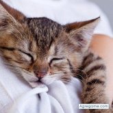 Chatear con karim2054 de Francia