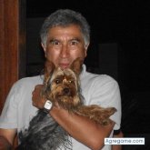 Foto de perfil de Librariano