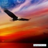 Darwin Contreras Huachaca