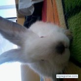 Chatear con 3msc_ de Huancayo