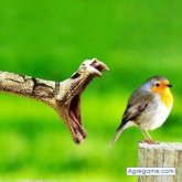 FRESKY chico soltero en Cuautitlán Izcalli