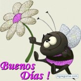 Chatear con Juank31a de Talca