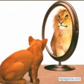 Oficina. Busco pareja. Amigas. Una buena