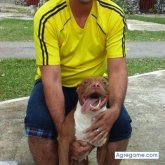 miguelisla40 chico soltero en 