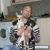 kiket foto #13