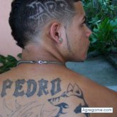 pedro luis mendez