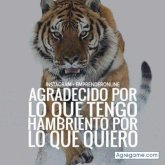 Foto de perfil de Jorgehdzbautista