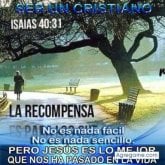Foto de perfil de domjuan
