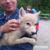 Lobito92 chico soltero en Baños