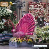 corona chico soltero en Pulpi