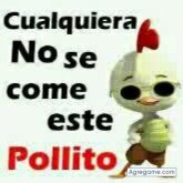 kilovasquez