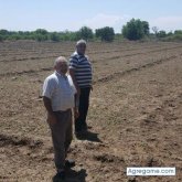 juan alberto sanchez