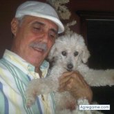 corbatos chico soltero en Guanabacoa