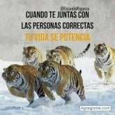 Foto de perfil de davidjacquet