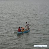 Ricardo62 chico soltero en Machala