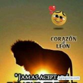 Foto de perfil de edilsoncasto