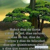 Chatear con Joseluis0987 de Las Heras