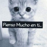 Chatear con huanayorga de Acobamba