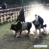 elcoleador chico soltero en Maturín