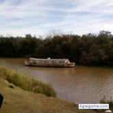 solosoysalvaje foto #18