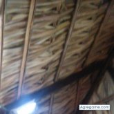 emsd24 chico soltero en Culiacán