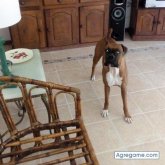 SANTI560 chico soltero en Vicente López