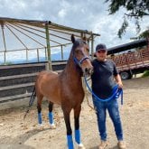 Busco mujeres divertidas de buenos