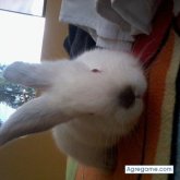 3msc_ chico soltero en Huancayo