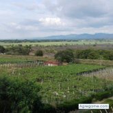 Miguelpaezp