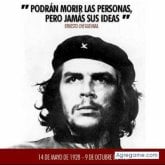 Foto de perfil de teitosar