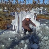 Chófer. Busco pareja. Chica ideal.